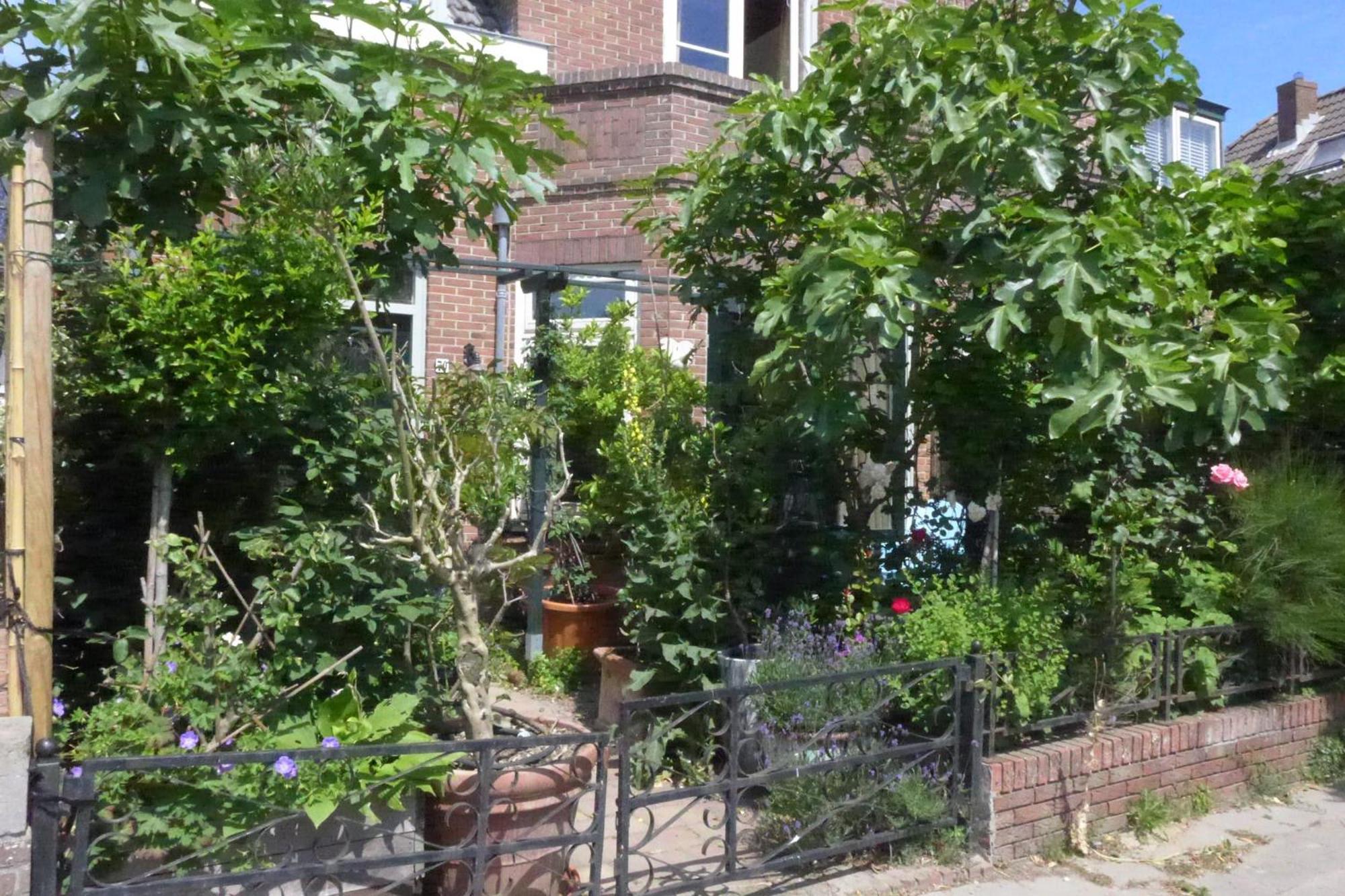 זנדוורט Family Home Marie מראה חיצוני תמונה