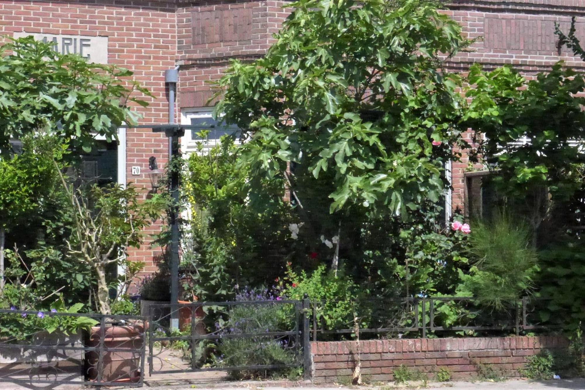 זנדוורט Family Home Marie מראה חיצוני תמונה