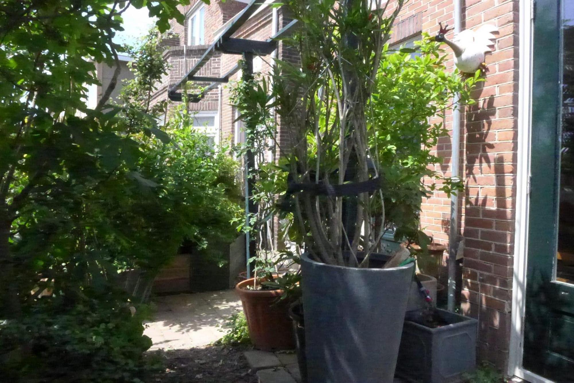 זנדוורט Family Home Marie מראה חיצוני תמונה