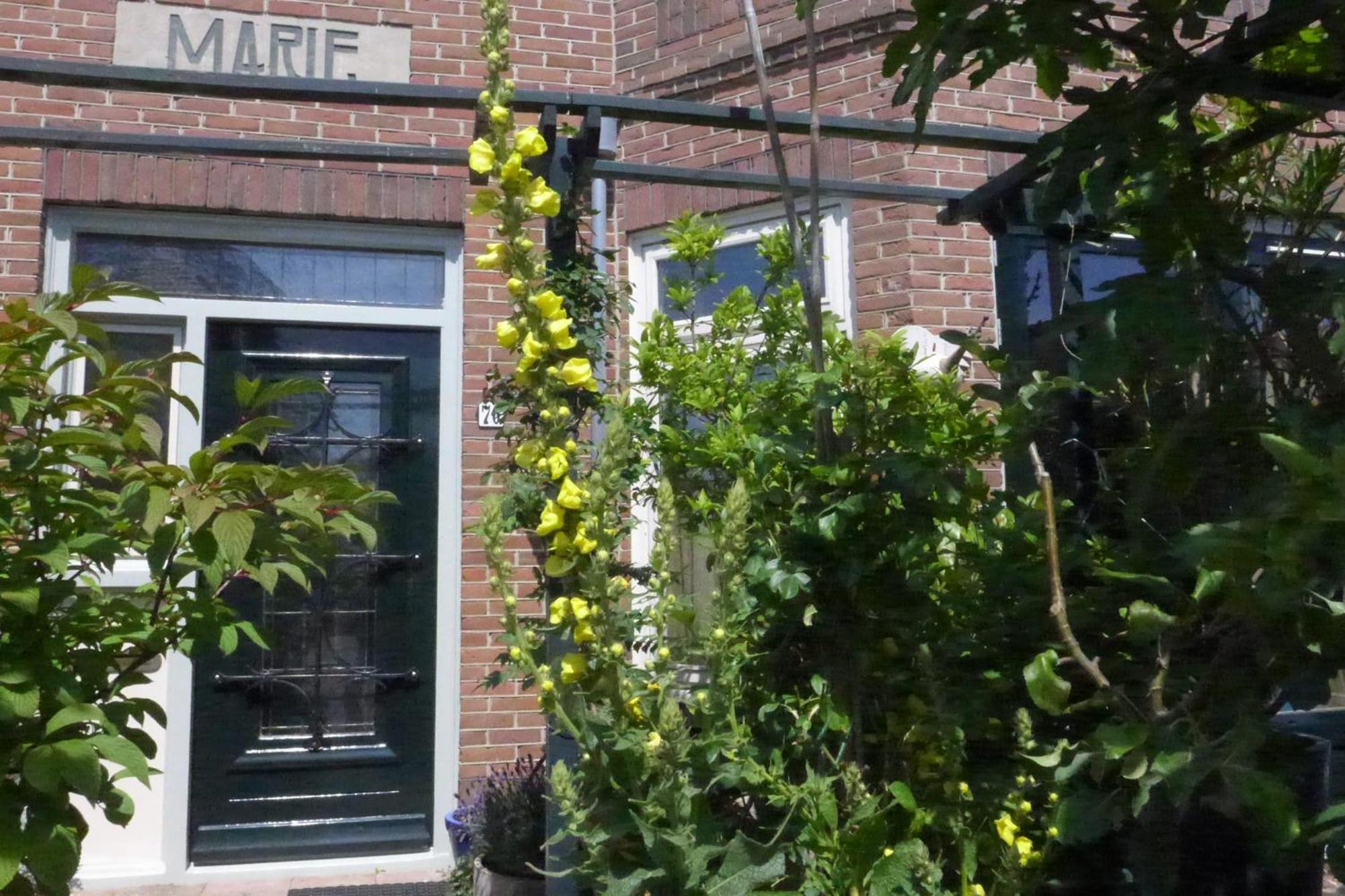 זנדוורט Family Home Marie מראה חיצוני תמונה